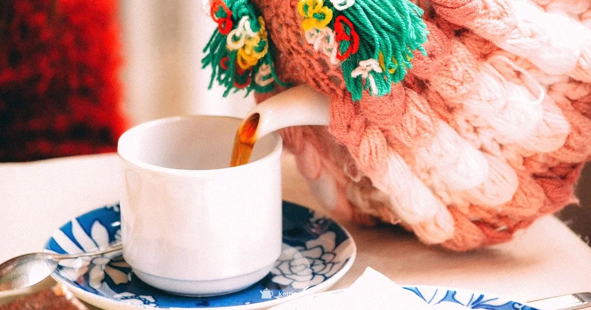 Electric Tea Maker Guide - Kettle Care