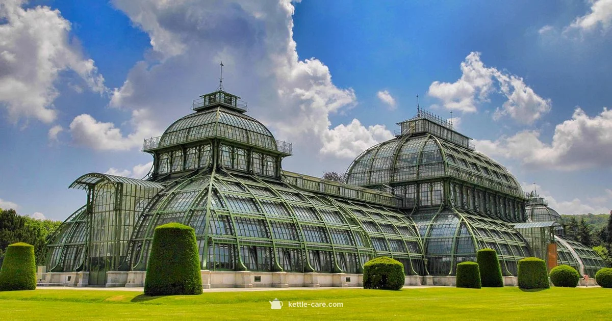 Kettle in Vienna - Kettle Care