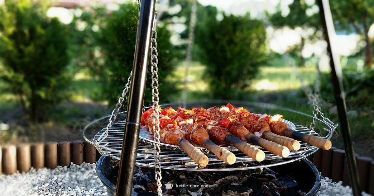 Weber Master Touch Kettle - Kettle Care