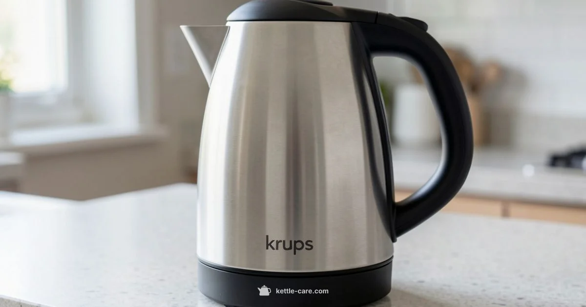 Krups Kettle Care