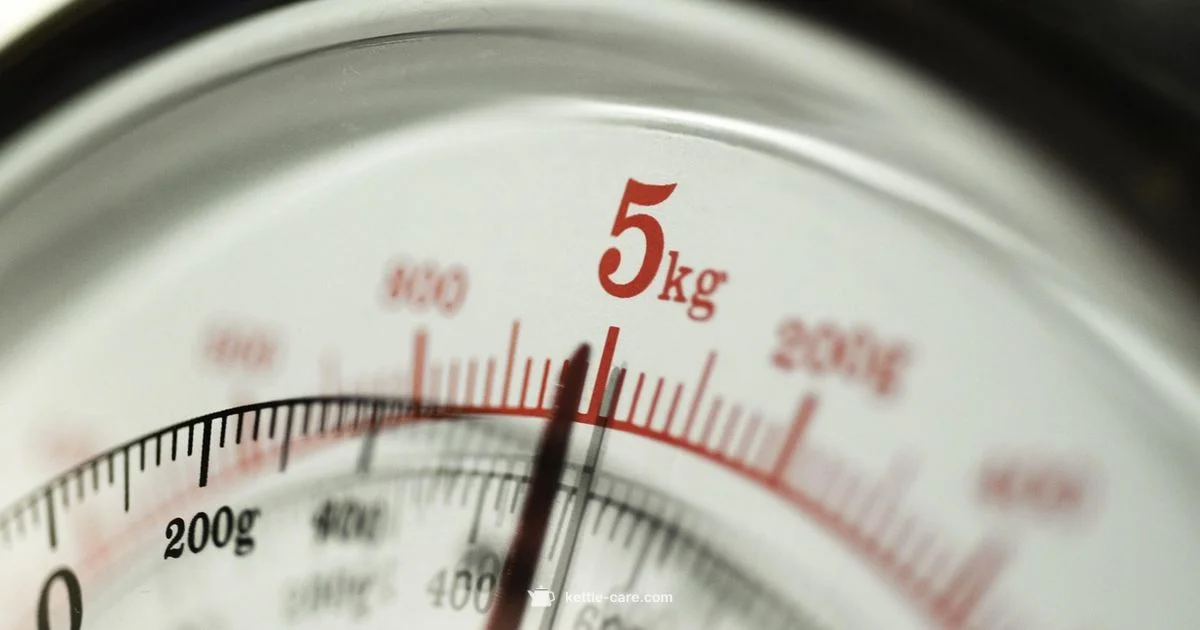 Fast Kettle Fix - Kettle Care