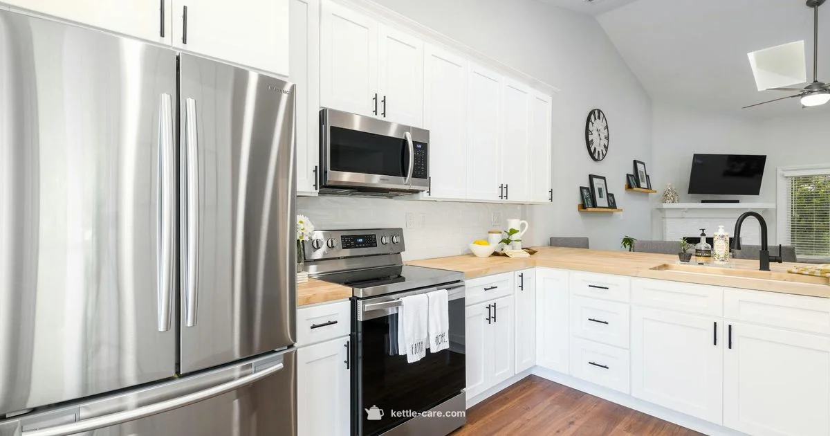 Limescale-Free Kettle - Kettle Care