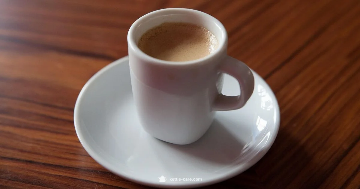 Budget Brew Master - Kettle Care