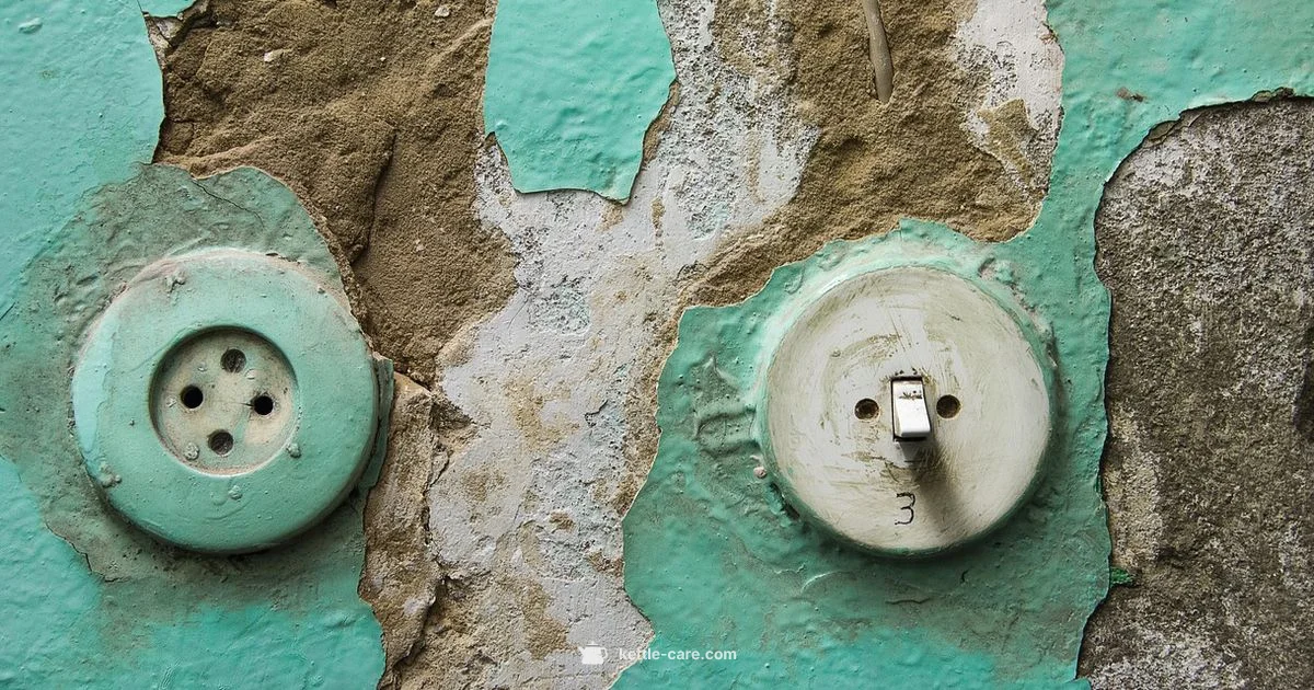 Kettle Switch Basics - Kettle Care