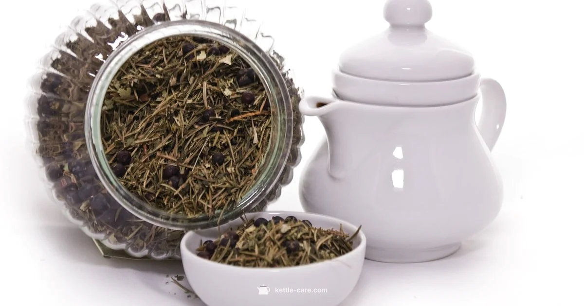 Kettle Care Essentials