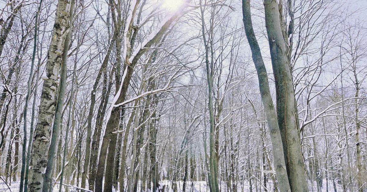 Kettle River Basics - Kettle Care