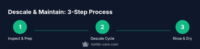 Infographic showing three-step descaling process for an electric kettle