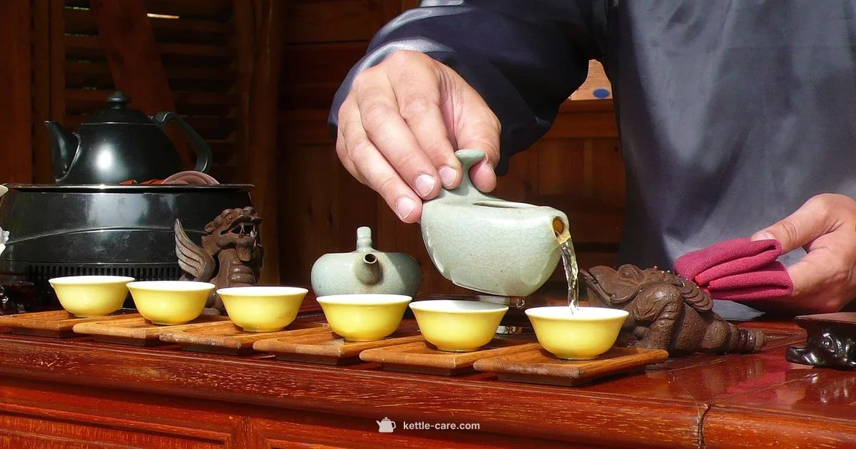 Gooseneck Kettle Guide - Kettle Care