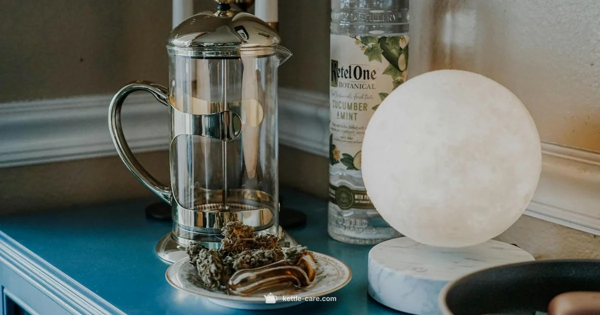 Brita Glass Kettle Guide - Kettle Care