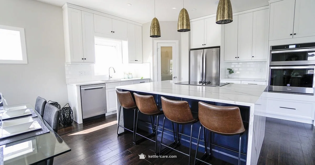 Delonghi Kettle Review - Kettle Care