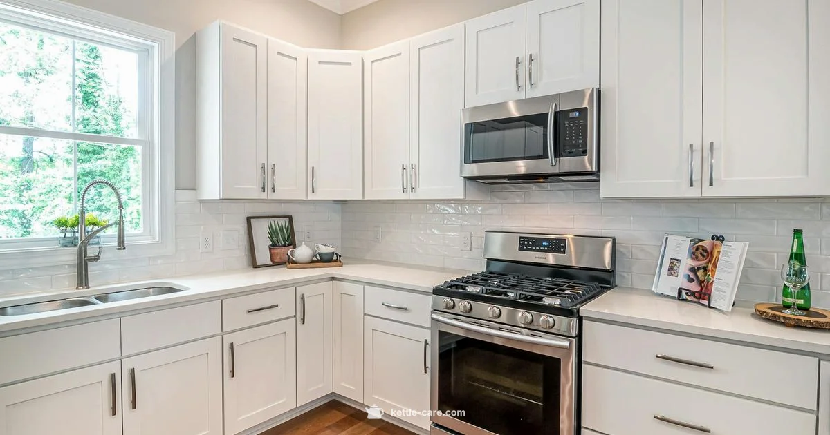 Stainless vs Glass - Kettle Care