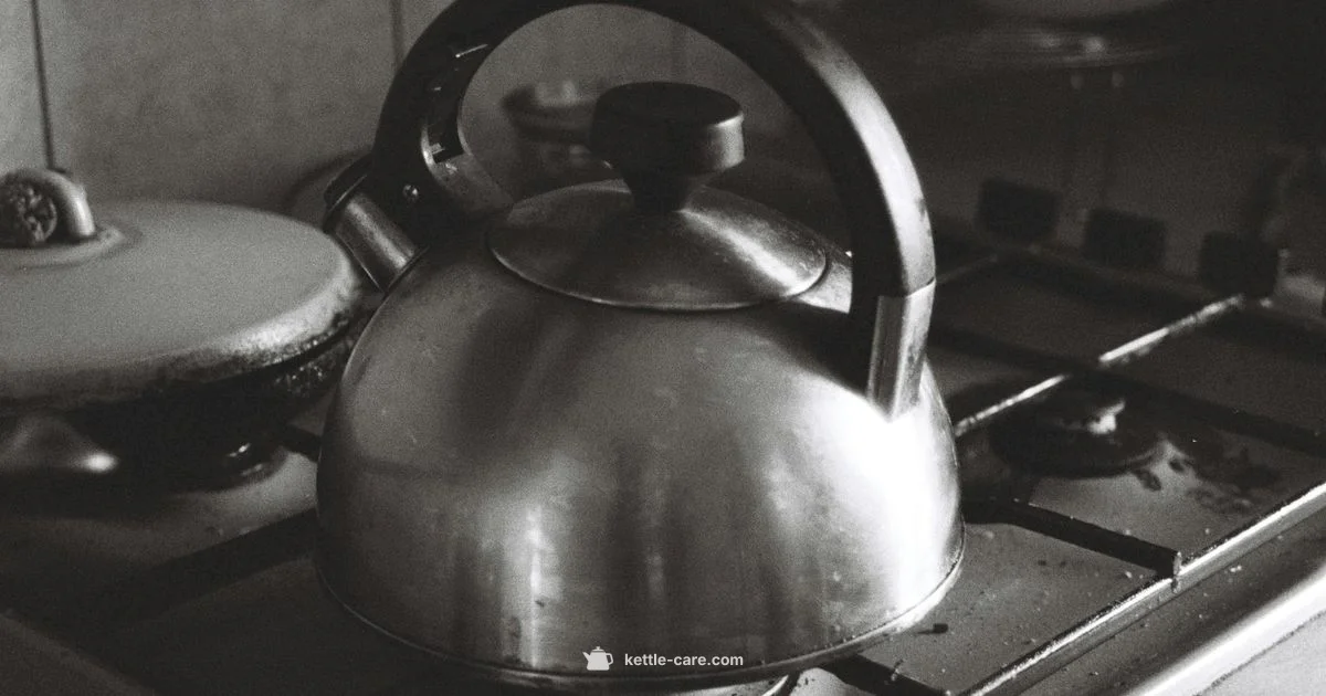 Heat Resistance - Kettle Care