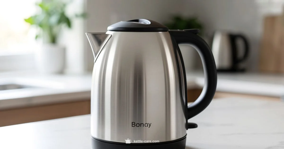 Kettle Steel Electric - Kettle Care