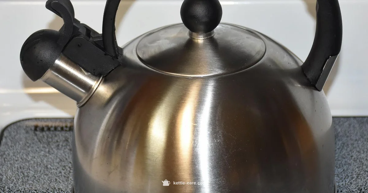 Whistling Kettle Guide - Kettle Care