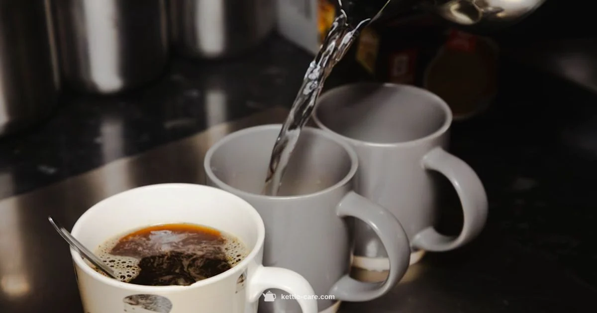 1.7 l Guide - Kettle Care