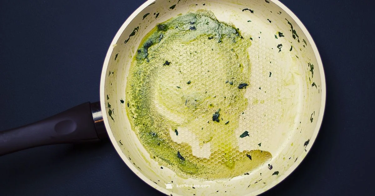 Smeg Blue Kettle Guide - Kettle Care