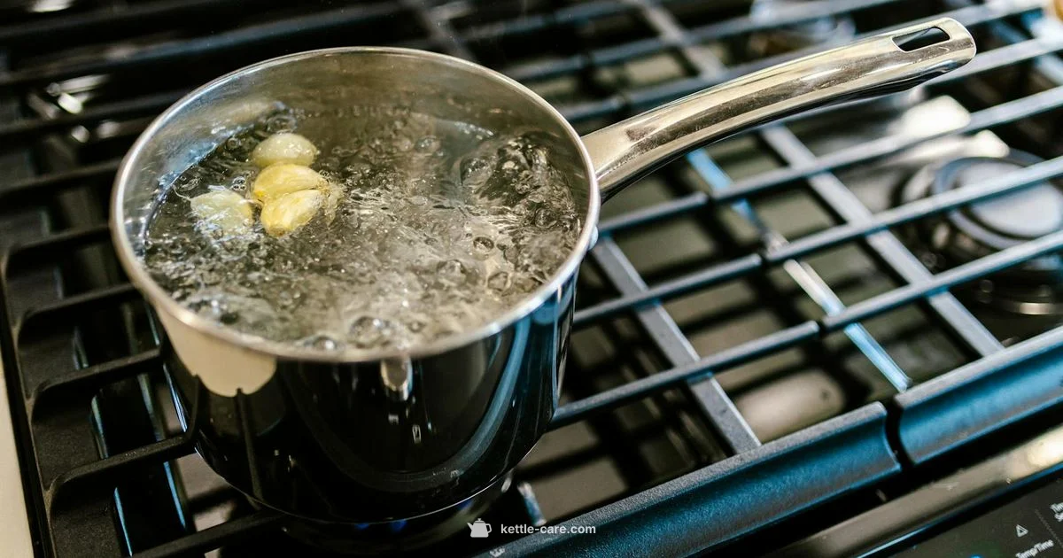 Kettle vs Chips - Kettle Care