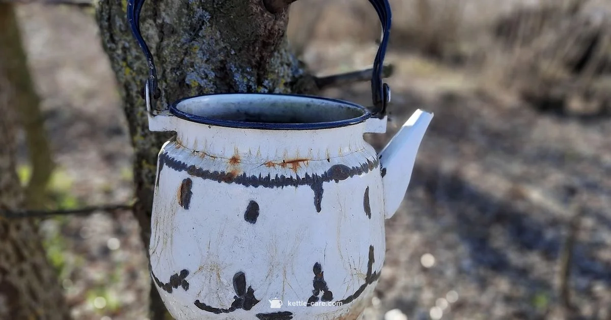 Smeg Kettle Overview - Kettle Care