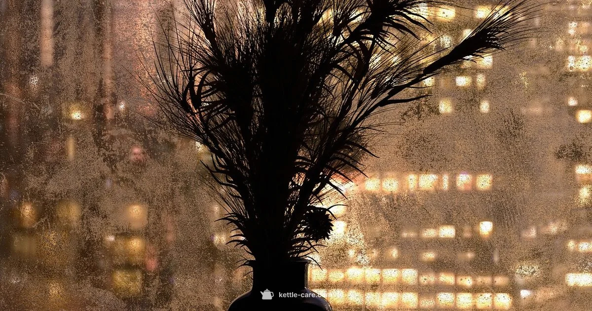 Kettle Falls Weather - Kettle Care