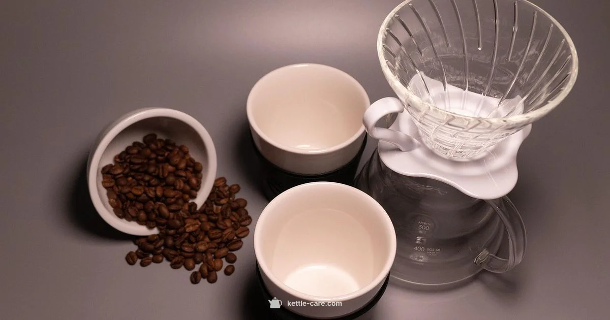 Hario Mugen Guide - Kettle Care