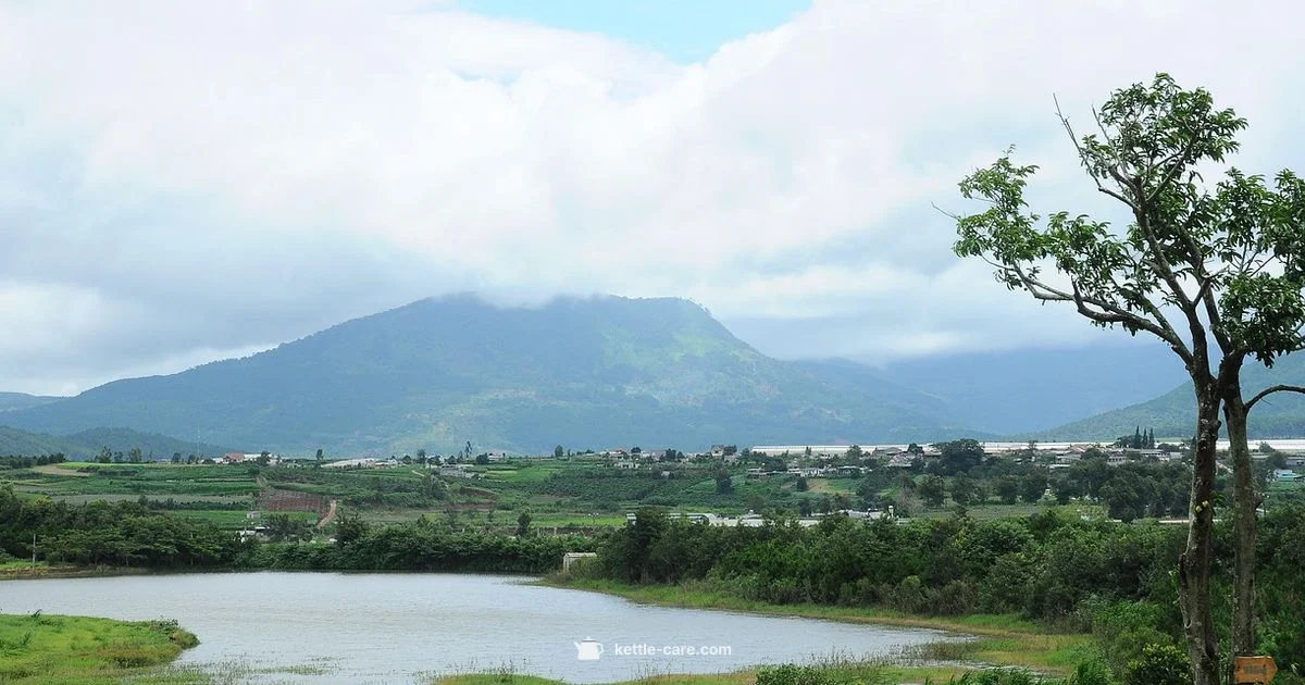 Copper Kettle Candy - Kettle Care