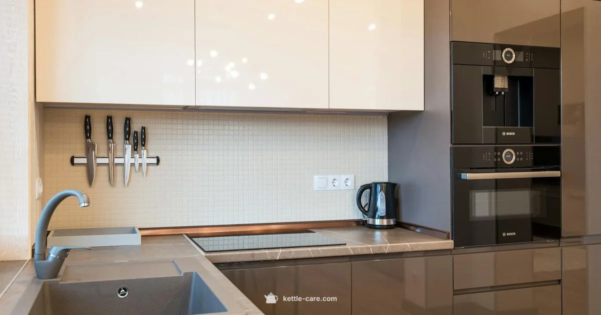 Viante Electric Kettle - Kettle Care