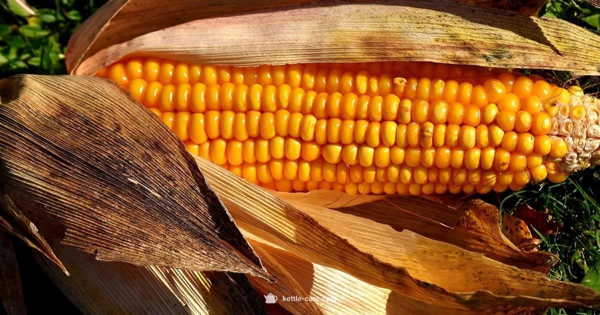 Flavored Kettle Corn Flavored Kettle Corn - Kettle Care