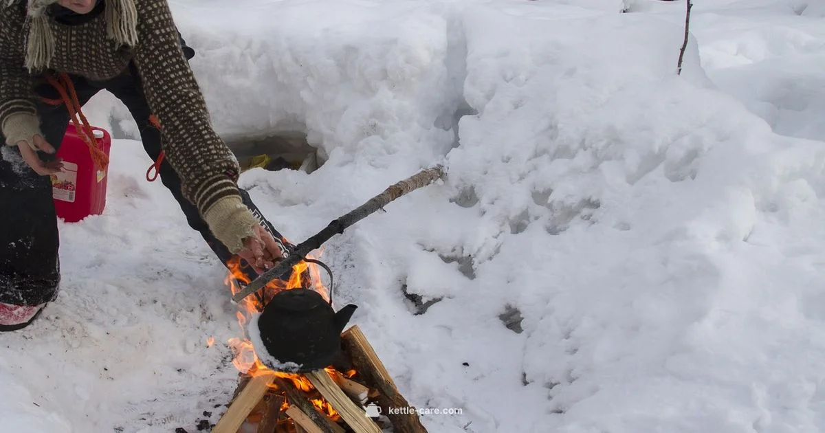 Weber Kettle Performer - Kettle Care