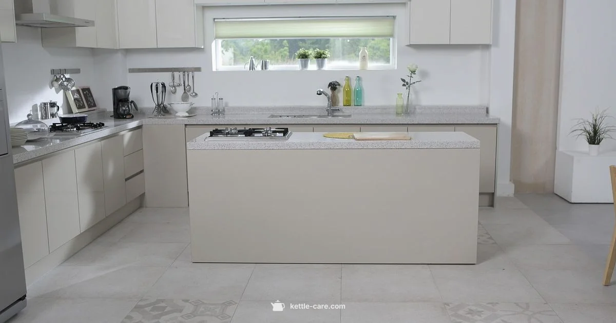 Kettle Chips Flavor Kettle Chips Flavor - Kettle Care