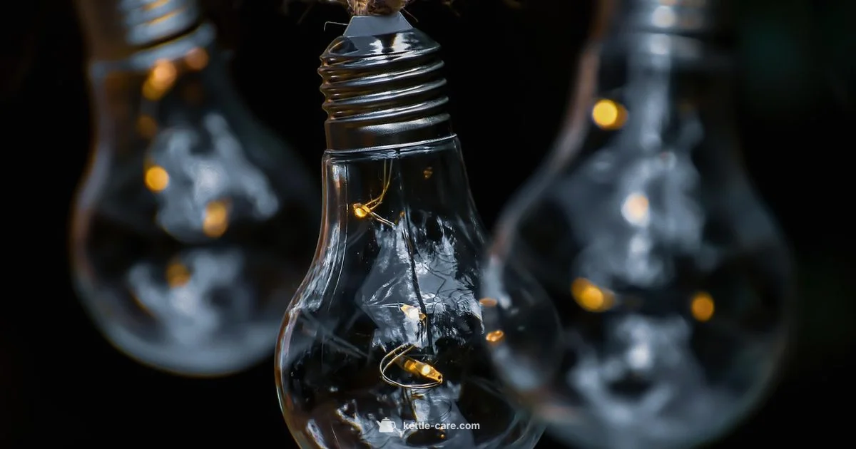 Top Kettle Picks 2026 - Kettle Care