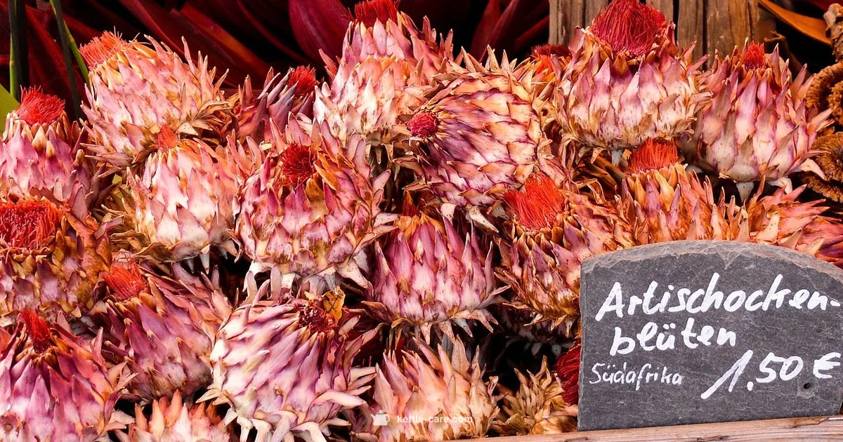 Cheap Kettle Finds - Kettle Care