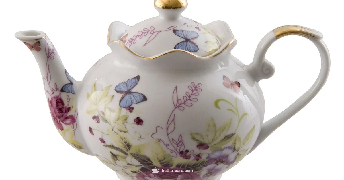 Tea Kettle Electric - Kettle Care