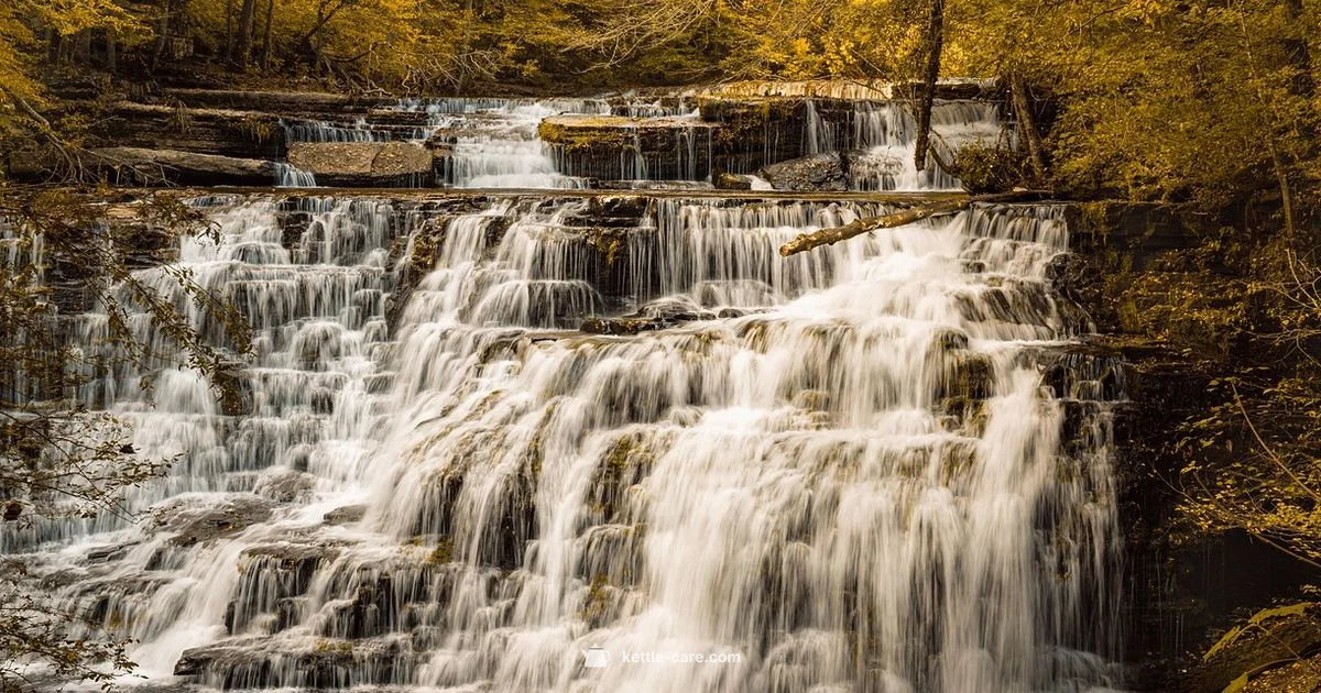 Tea Kettle Falls Trailhead - Kettle Care