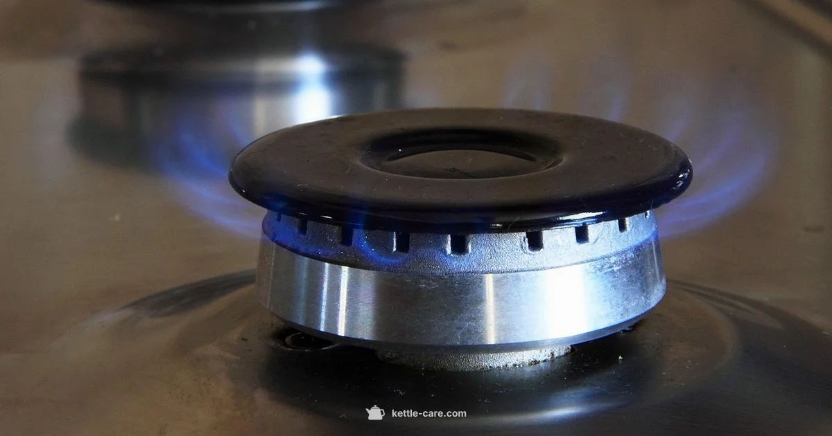 Kettle Whistle Guide - Kettle Care