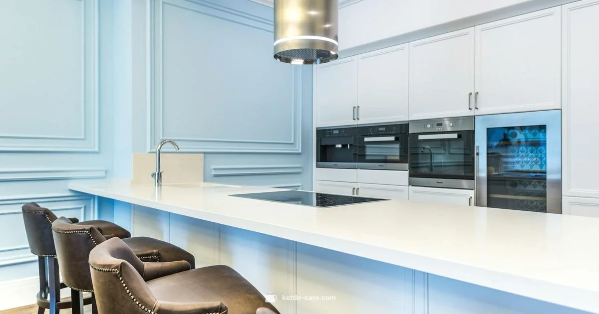 Fancy Kettle Guide - Kettle Care