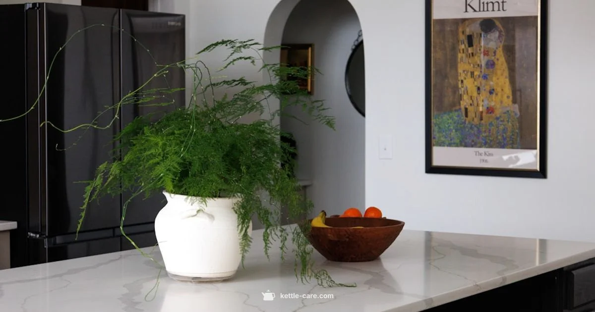 Big Kettle Guide - Kettle Care