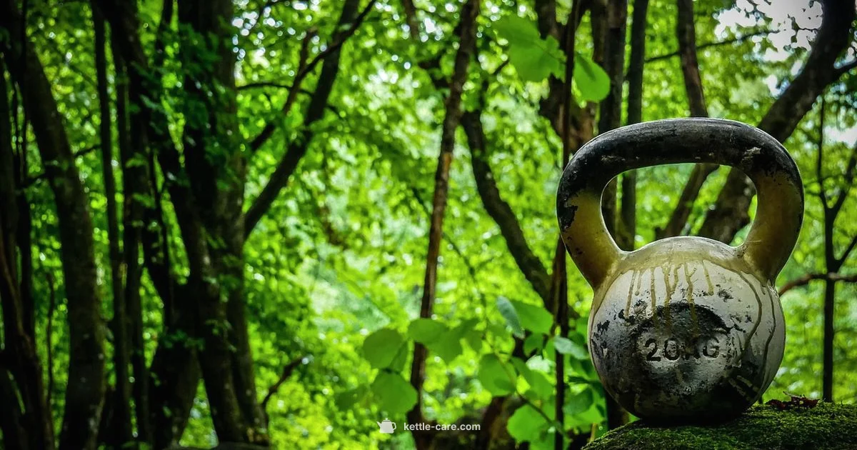 Kettlebell Windmill - Kettle Care