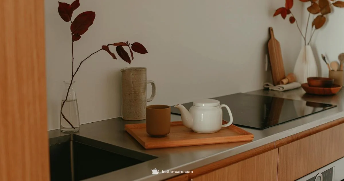 Precision Pouring Kettle - Kettle Care