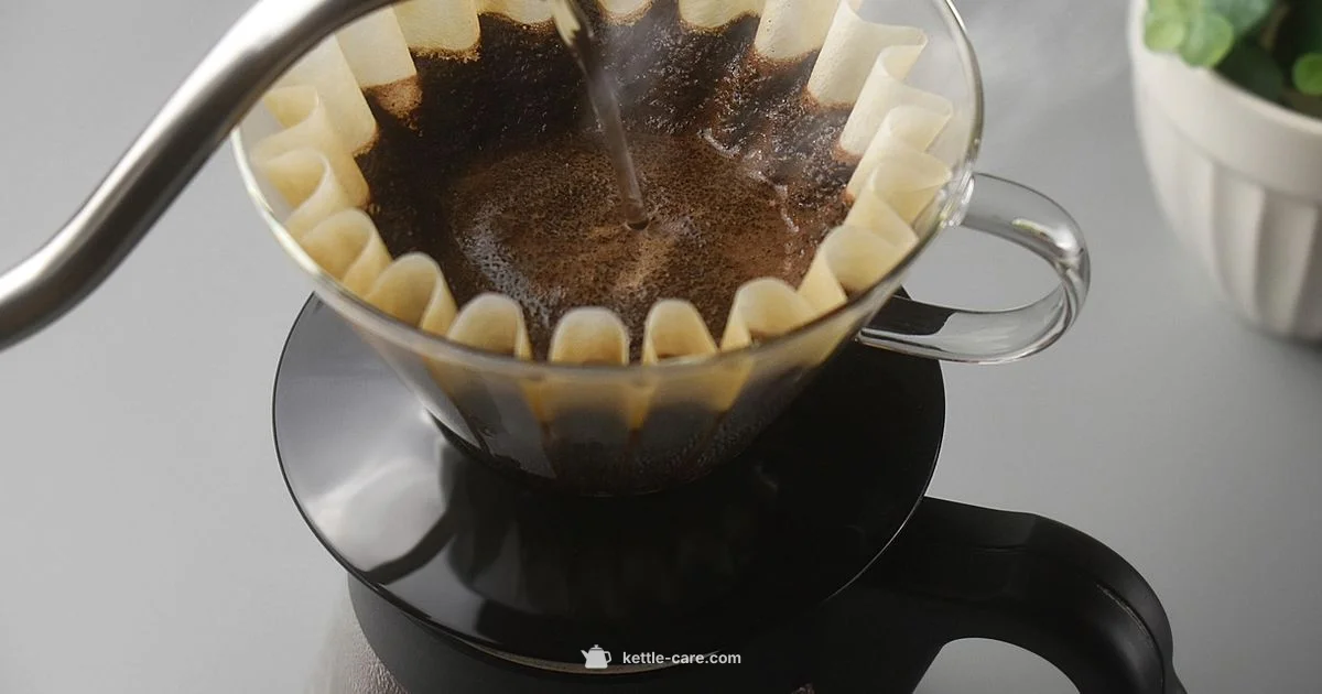 Kettle Filters - Kettle Care