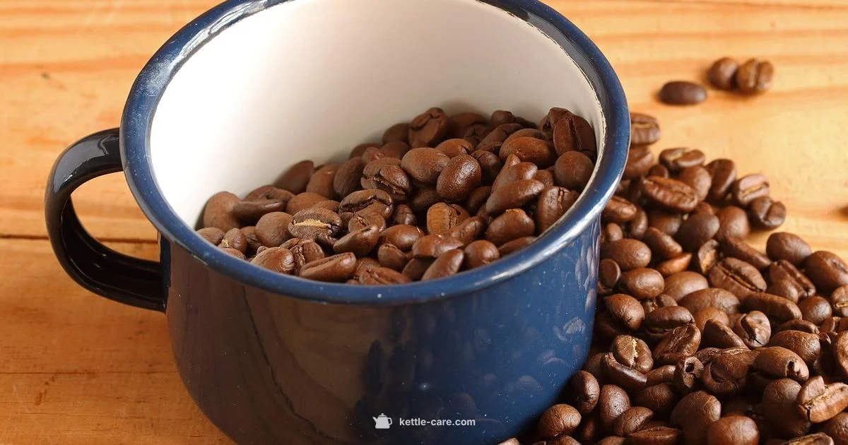 Mackenzie Childs Kettle - Kettle Care