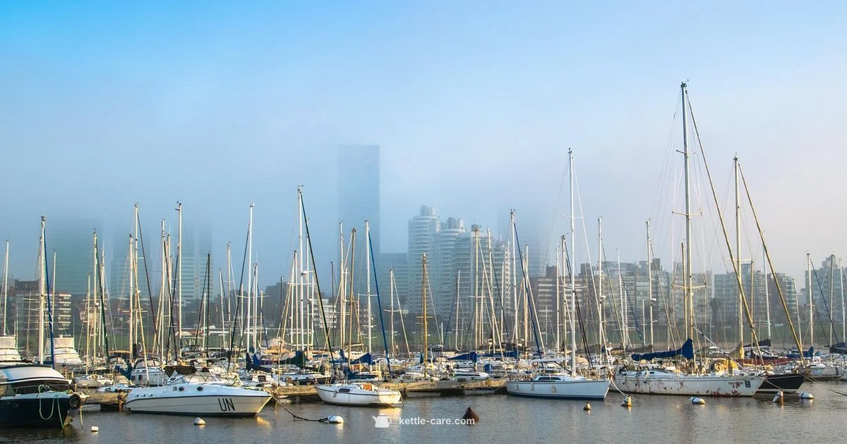 Kettle Creek Marina Overview - Kettle Care