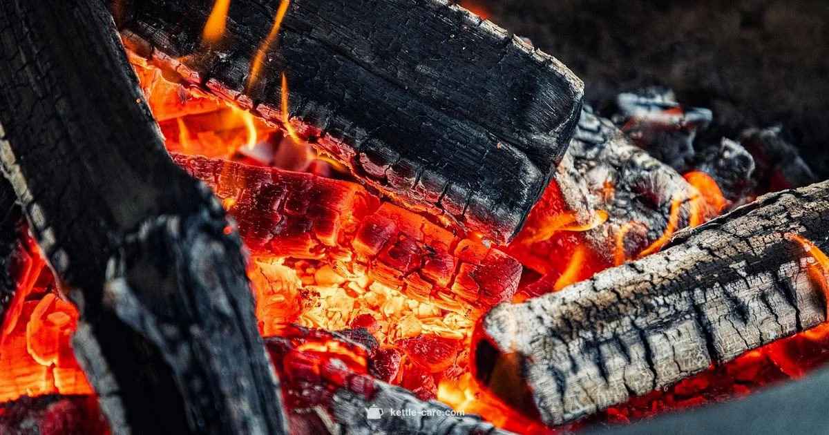 Kettle Brand BBQ Chips - Kettle Care