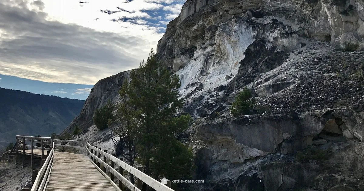 Kettle Pond Park Guide - Kettle Care