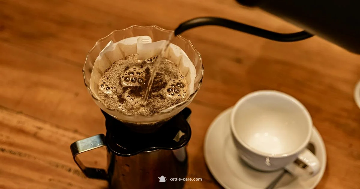 Filter Kettle Guide - Kettle Care