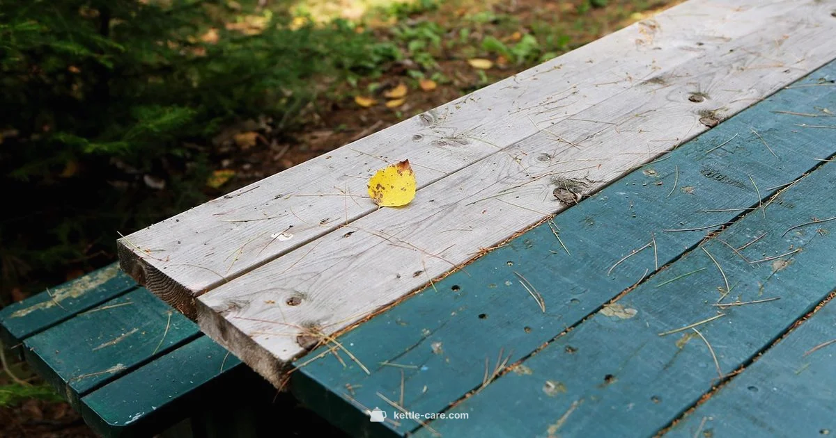 Campfire Kettle Essentials - Kettle Care