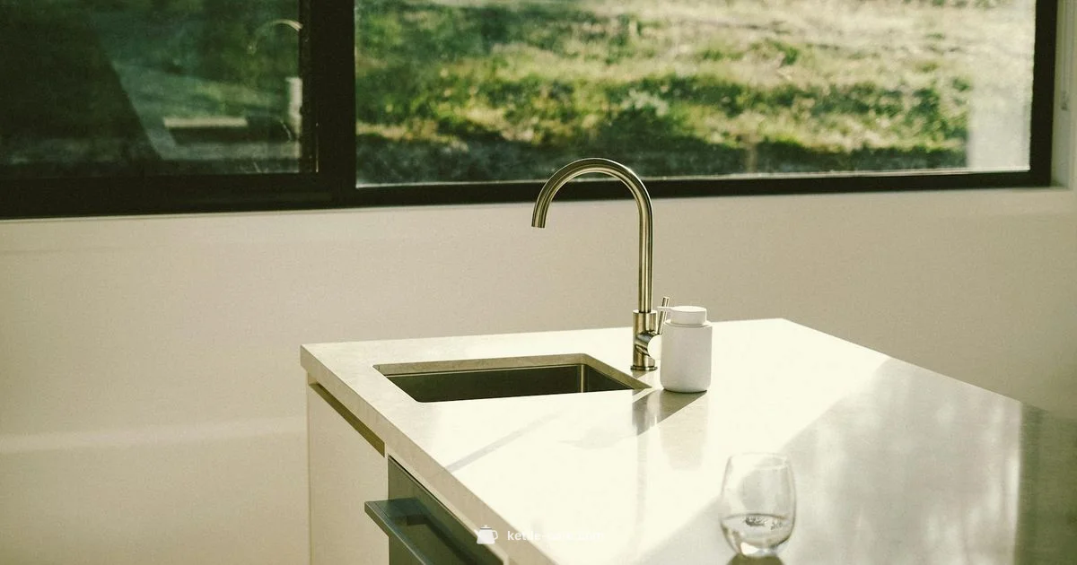 Programmable Kettle Guide - Kettle Care