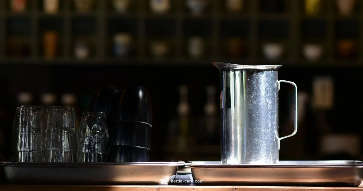 One Cup Guide - Kettle Care