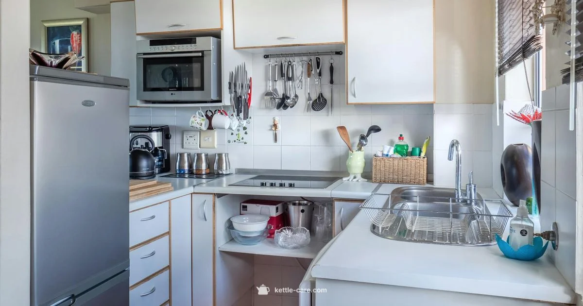 Russell Hobbs Guide - Kettle Care