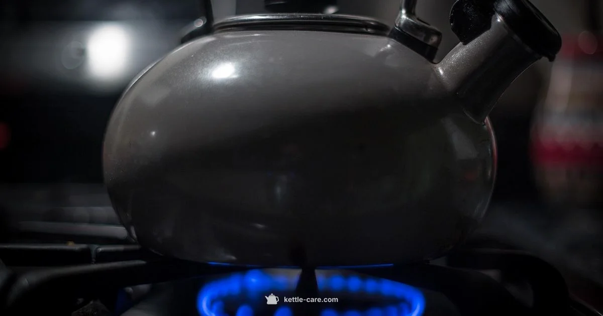 Induction Kettle Guide - Kettle Care