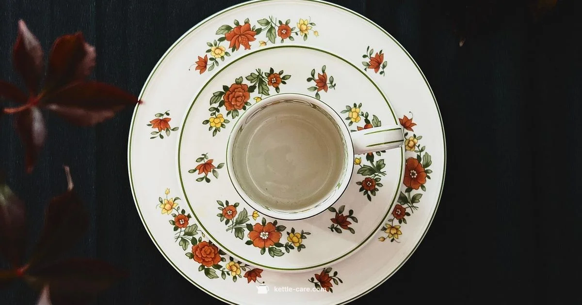 Villeroy Boch Kettle - Kettle Care